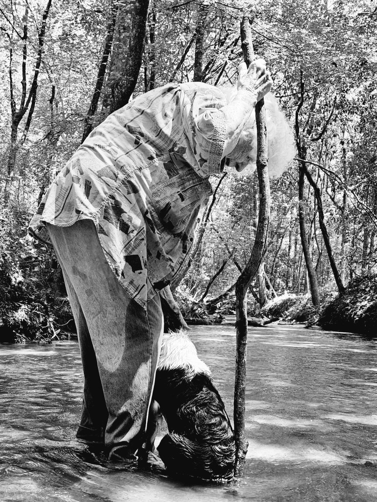 Toot Toot & Gunner walking the creek. 